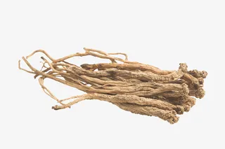 党参长条党参免抠