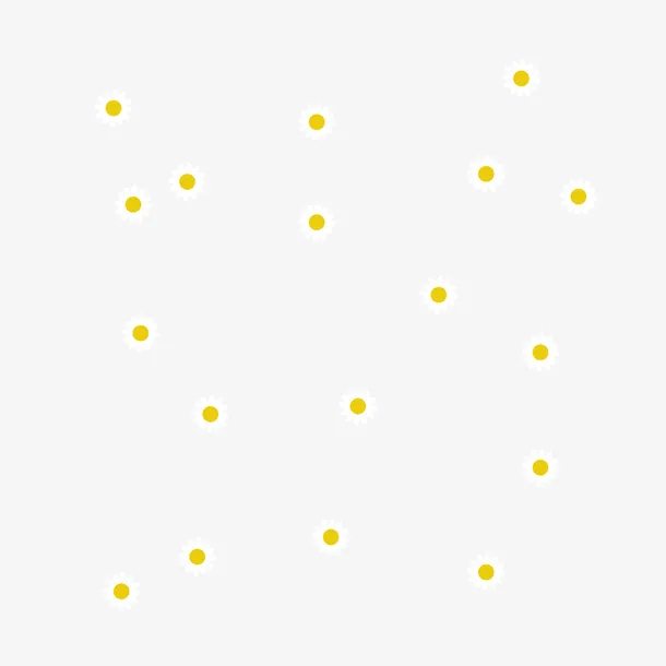 白色小皱菊矢量图免抠