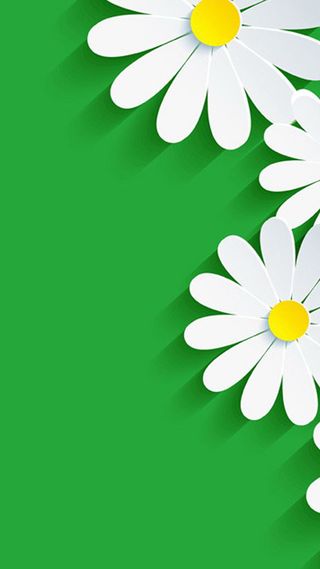 清新雏菊H5背景高清