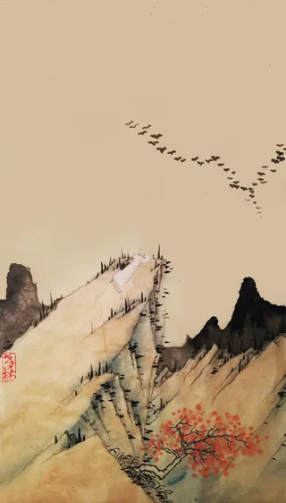 一群大雁快开始把家归免抠