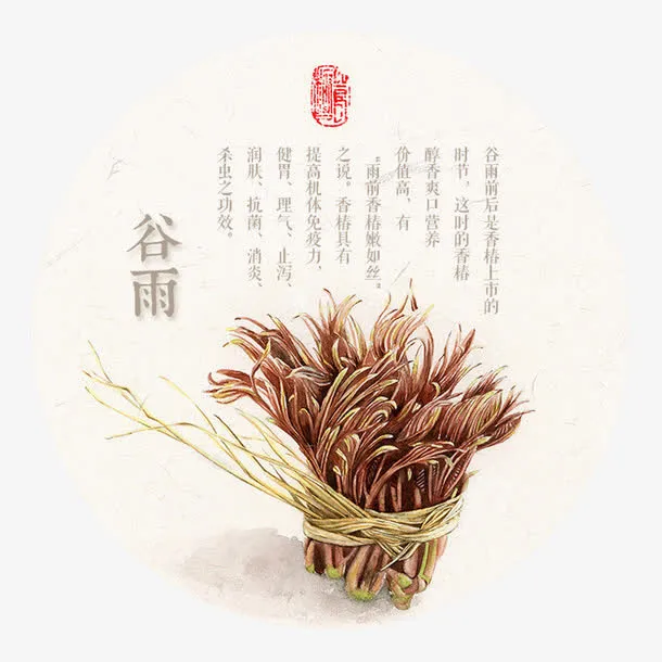 24节气谷雨免抠