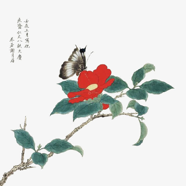 花上的蝴蝶免抠