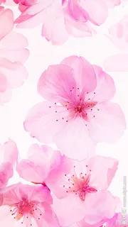 浪漫桃花底纹海报背景素材高清