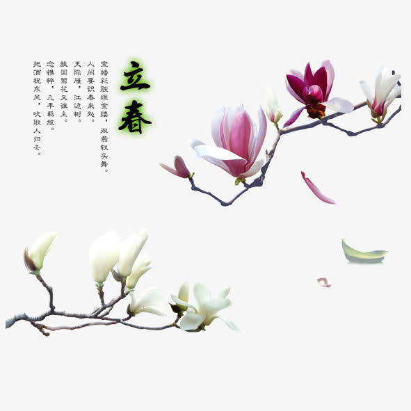 春天免抠