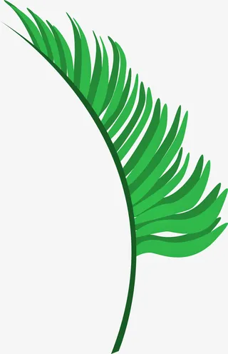 绿色平面棕榈叶素材图免抠