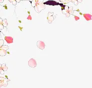 桃花花瓣手绘免抠