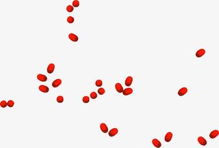 手绘红枣卡通漂浮装饰免抠手绘/卡通卡通元素