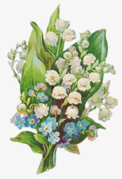 手绘图片花饰图标 铃铛花免抠