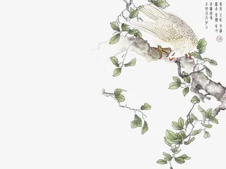 国画鸟站在树枝上免抠