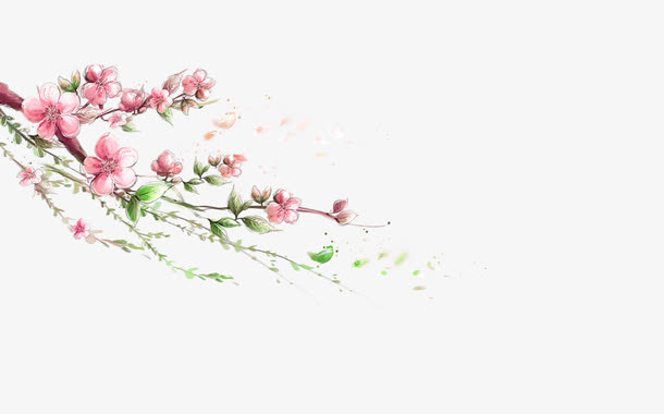 梅花免抠