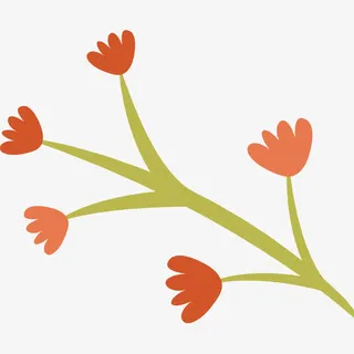 卡通康乃馨免抠