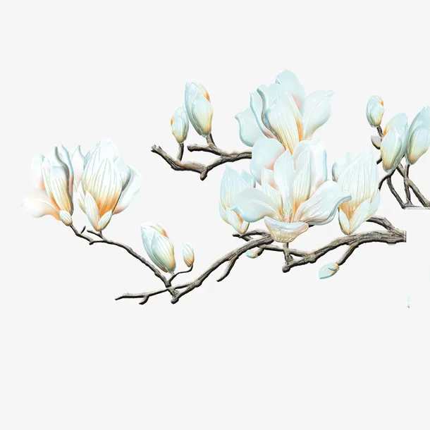 花枝免抠