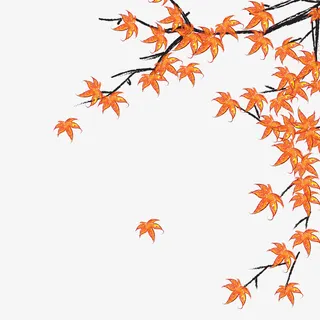 黄色枫叶树枝素材免抠