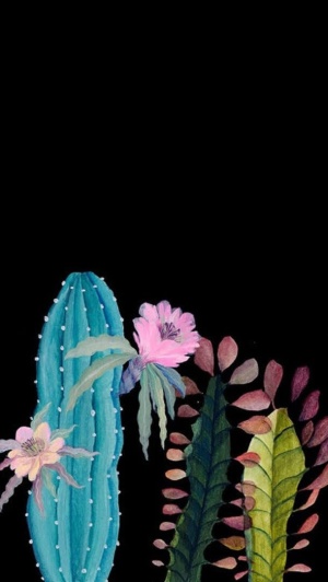 手绘插画仙人掌开花免抠