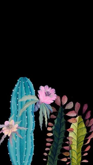 手绘插画仙人掌开花免抠