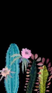 手绘插画仙人掌开花免抠 手绘插画仙人掌开花免抠