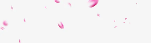 花瓣漂浮免抠