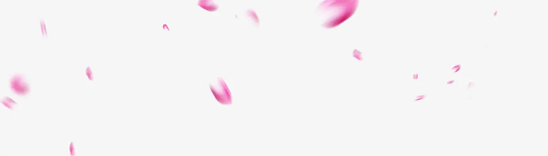 花瓣漂浮免抠 花瓣漂浮免抠