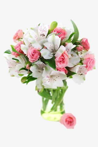 百合的春天免抠装饰植物元素