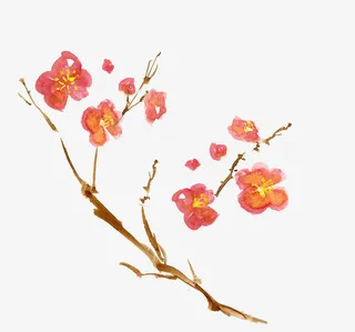 手绘国画梅花免抠