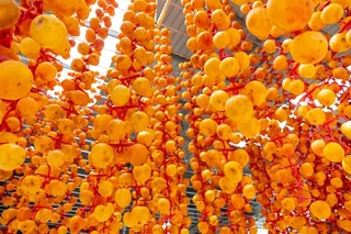 被串起来晾晒的柿子高清