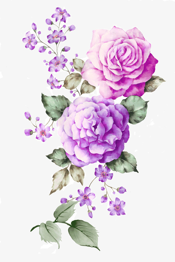 玫瑰花免抠