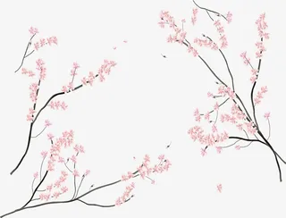 日本樱花节樱花树枝免抠