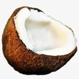 椰子种水果PNG图标免抠