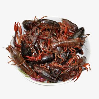 新鲜的小龙虾实物图免抠
