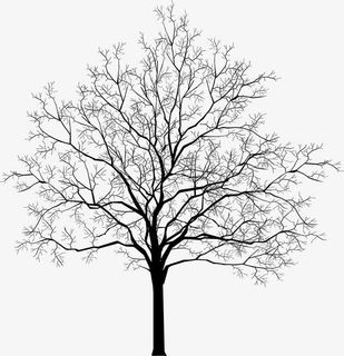 树免抠