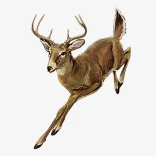 奔跑的梅花鹿免抠