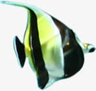 小鱼海水夏日免抠