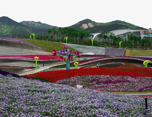 公园花卉展免抠