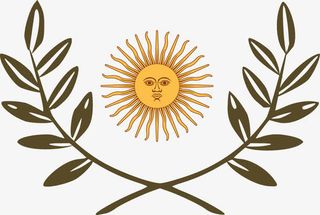 矢量手绘的树枝树叶和太阳免抠