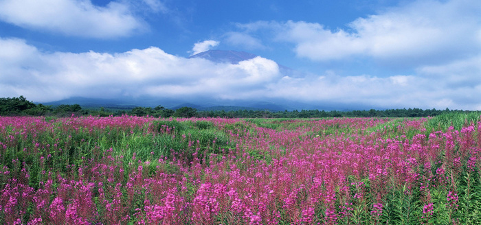 淘宝背景图高清