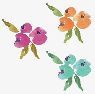 手绘水彩花卉免抠