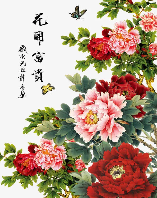 牡丹花免抠