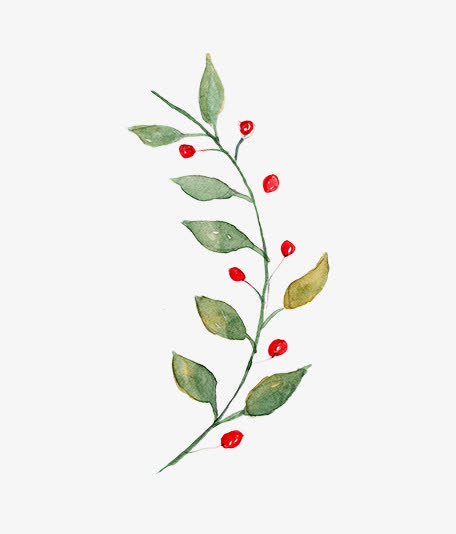 圣诞节手绘花纹素材免抠