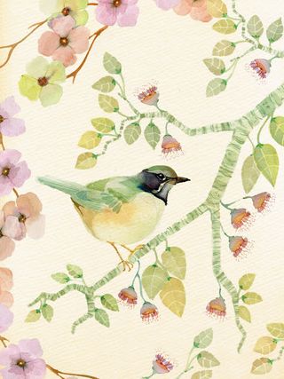 手绘春天树枝小鸟免抠