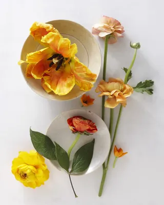 高清黄色小花植物免抠