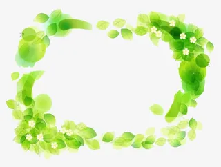 绿叶边框素材免抠