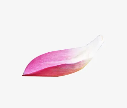 花瓣免抠