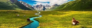 淘宝草原山脉banner背景高清