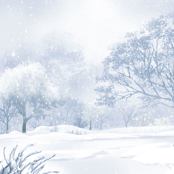 暴风雪免抠