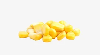 实物熟玉米粒免抠