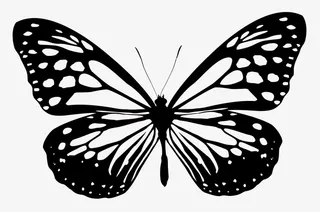 展翅高飞的蝴蝶免抠