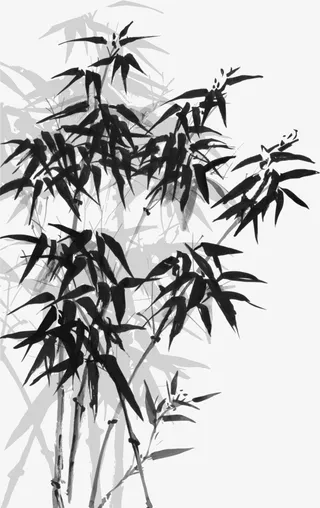中国风的墨竹免抠