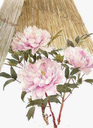 唯美中国古风水彩插画牡丹花与斗免抠装饰植物元素