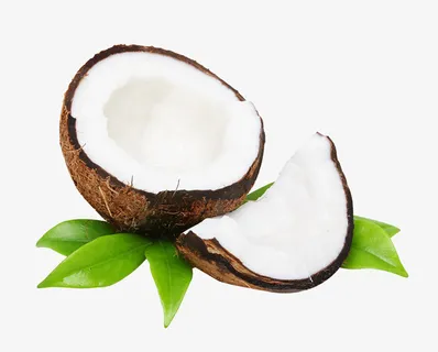 新鲜水果椰子免抠 新鲜水果椰子免抠