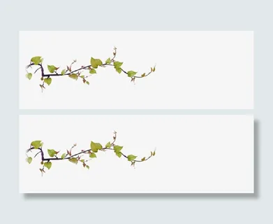 手绘绿色花枝 绿色叶子png素材免抠